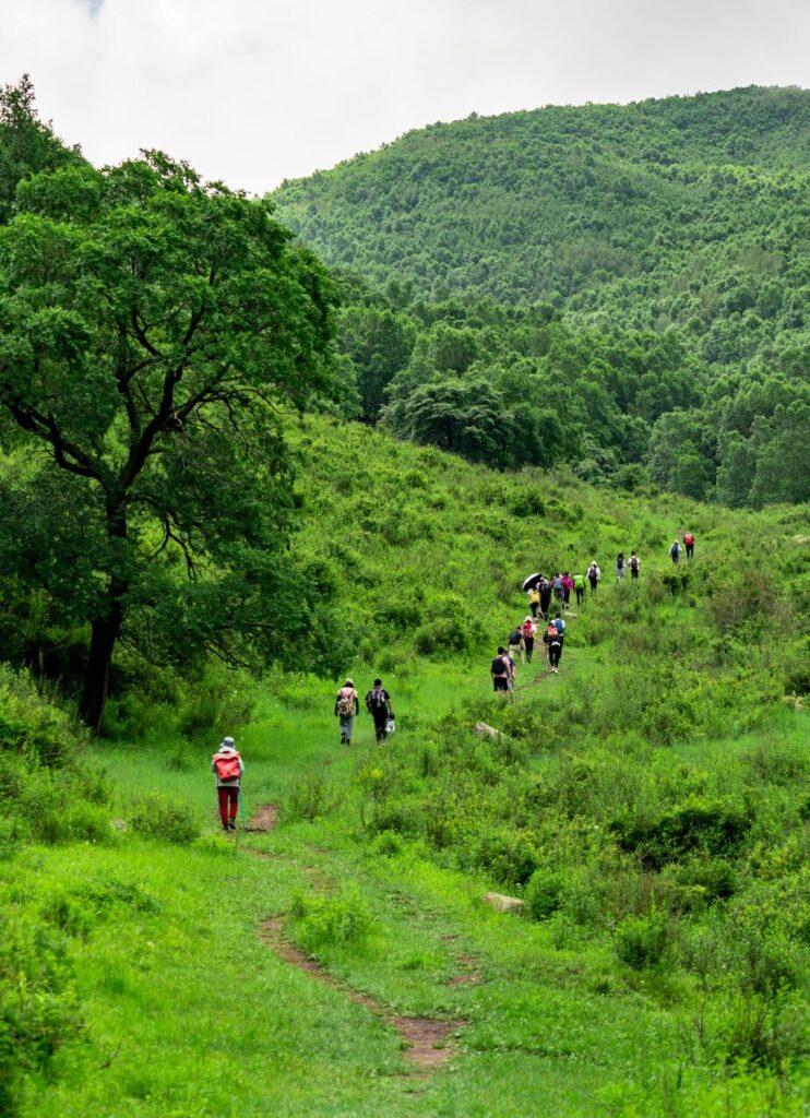 Un grupo de personas camina por un sendero rodeado de naturaleza en China.